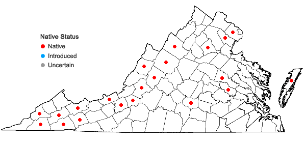 Locations ofOrthotrichum strangulatum P. Beauv. in Virginia