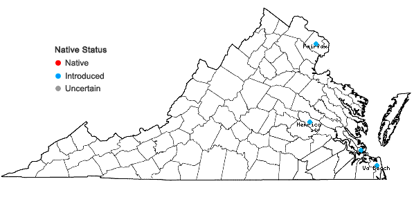 Locations ofOshuna crassipes (Martius) A. Haines in Virginia