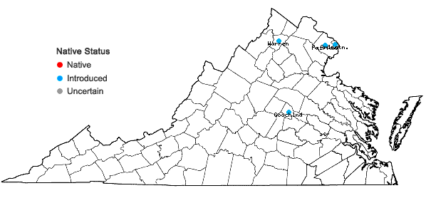 Locations ofOsmanthus heterophyllus D. Don in Virginia