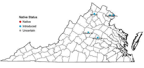 Locations ofOsmanthus heterophyllus D. Don in Virginia