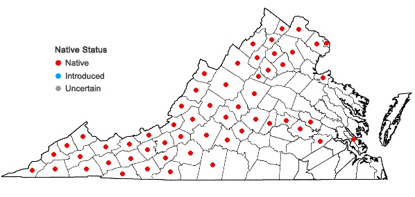 Locations ofOsmorhiza claytonii (Michx.) C.B. Clarke in Virginia