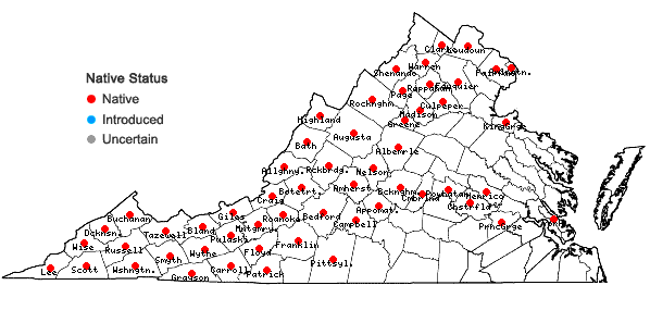 Locations ofOsmorhiza claytonii (Michx.) C.B. Clarke in Virginia