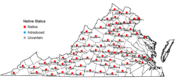 Locations ofOsmorhiza longistylis (Torr.) DC. in Virginia