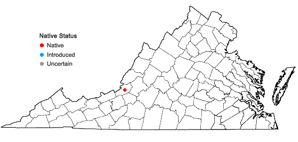 Locations ofOsmunda × ruggii R. Tryon in Virginia