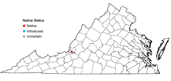 Locations ofOsmunda × ruggii R. Tryon in Virginia
