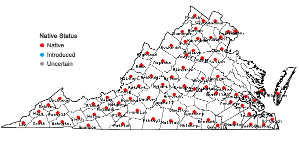 Locations ofOstrya virginiana (P.Mill.) K.Koch in Virginia