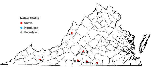 Locations ofOxalis colorea (Small) Fedde in Virginia