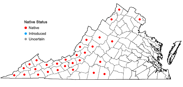 Locations ofOxalis grandis Small in Virginia