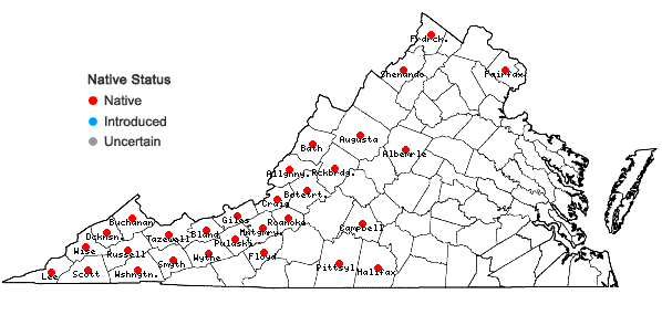 Locations ofOxalis grandis Small in Virginia