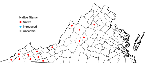 Locations ofOxalis montana Raf. in Virginia