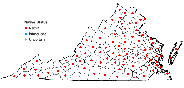 Locations ofOxalis violacea L. in Virginia