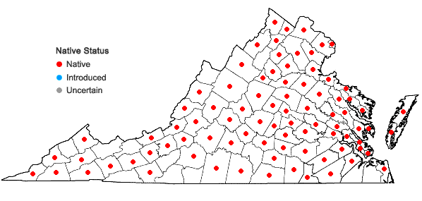 Locations ofOxalis violacea L. in Virginia