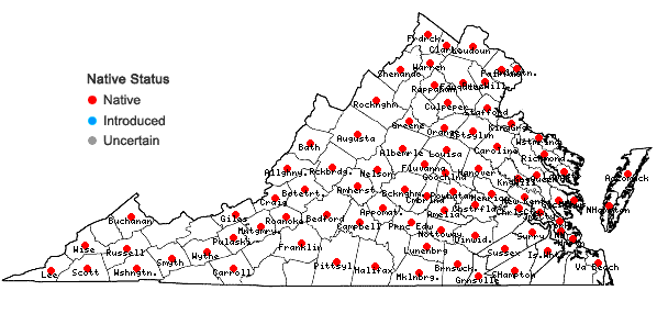 Locations ofOxalis violacea L. in Virginia