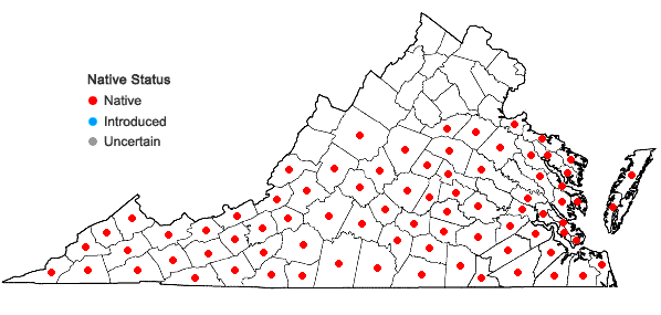 Locations ofOxydendrum arboreum (L.) DC. in Virginia