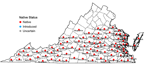 Locations ofOxydendrum arboreum (L.) DC. in Virginia