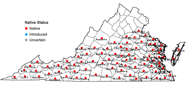 Locations ofOxydendrum arboreum (L.) DC. in Virginia