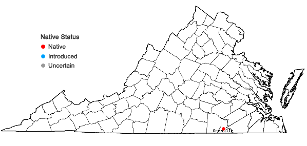 Locations ofOxypolis ternata (Nutt.) Heller in Virginia