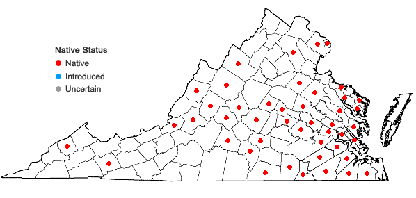 Locations ofOxyrrhynchium hians (Hedw.) Loeske in Virginia