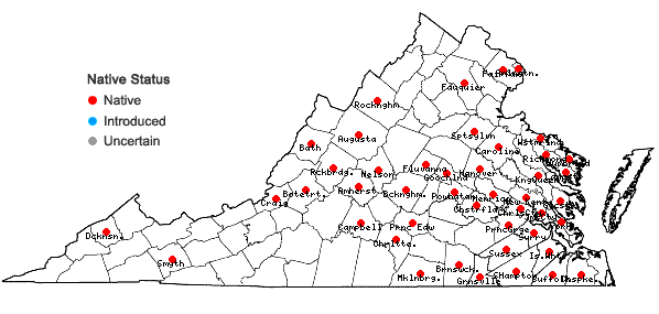 Locations ofOxyrrhynchium hians (Hedw.) Loeske in Virginia