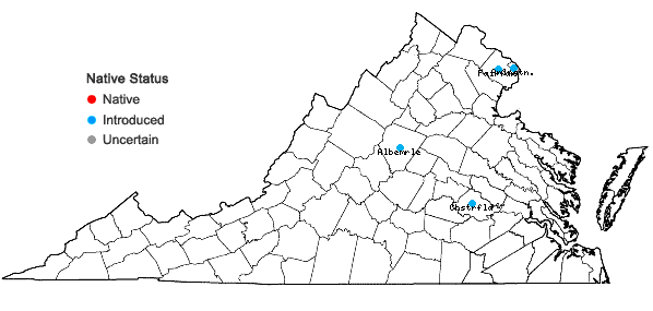 Locations ofPachysandra terminalis Sieb. & Zucc. in Virginia