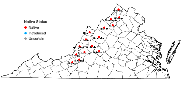 Locations ofPackera antennariifolia (Britton) W.A. Weber & A. Love in Virginia