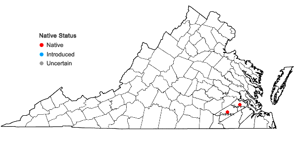 Locations ofPackera crawfordii (Britton) A.M. Mahoney & R.R. Kowal in Virginia