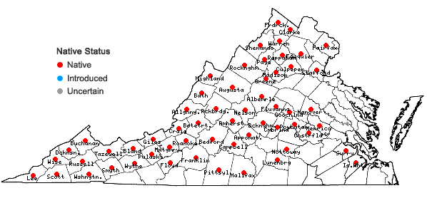 Locations ofPackera obovata (Muhl. ex Willd.) W.A. Weber & A. Love in Virginia