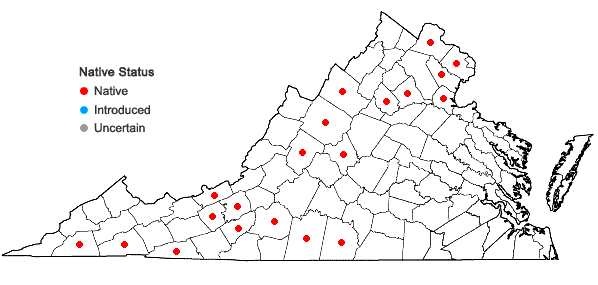 Locations ofPackera paupercula (Michx.) A. & D. Love var. paupercula in Virginia