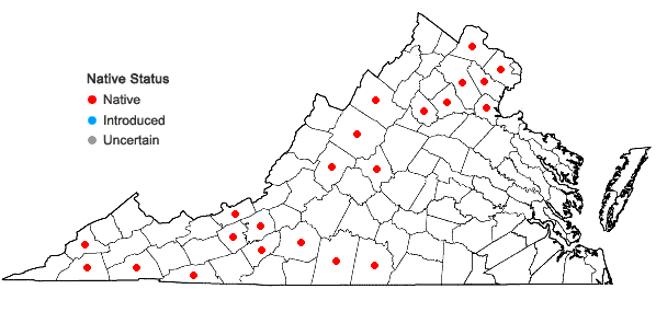 Locations ofPackera paupercula (Michx.) A. & D. Love var. paupercula in Virginia
