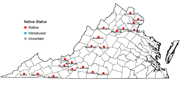 Locations ofPackera paupercula (Michx.) A. & D. Love var. paupercula in Virginia