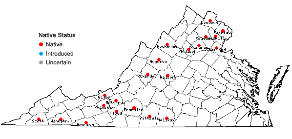 Locations ofPackera paupercula (Michx.) A. & D. Love var. paupercula in Virginia