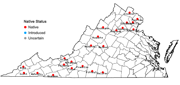 Locations ofPackera paupercula (Michx.) A. & D. Love var. paupercula in Virginia
