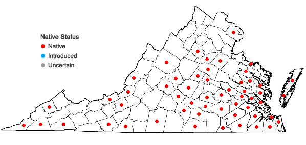 Locations ofPallavicinia lyellii (Hook.) Carruth. in Virginia