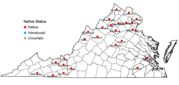 Locations ofPalustricodon aparinoides (Pursh) Morin var. aparinoides in Virginia