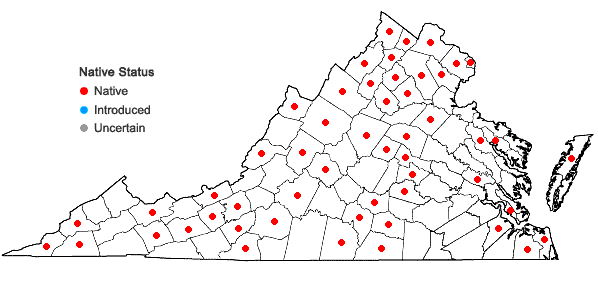 Locations ofPanicum capillare L. ssp. capillare in Virginia