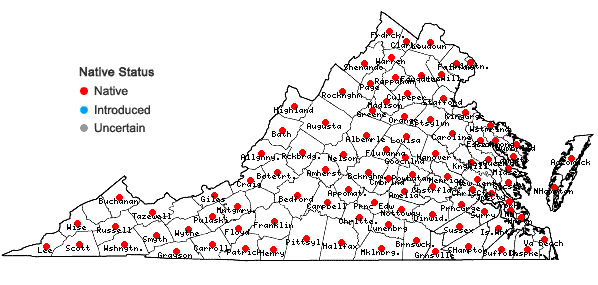 Locations ofPanicum dichotomiflorum Michx. var. dichotomiflorum in Virginia