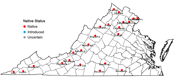 Locations ofPanicum flexile (Gattinger) Scribn. in Virginia