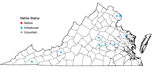 Locations ofPanicum miliaceum L. in Virginia