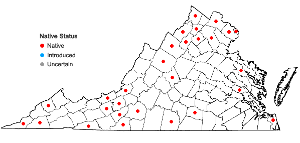 Locations ofPanicum philadelphicum Bernh. ex Trin. ssp. gattingeri (Nash) Freckm. & Lelong in Virginia