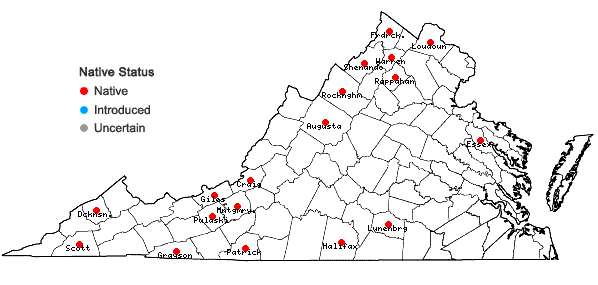 Locations ofPanicum philadelphicum Bernh. ex Trin. ssp. gattingeri (Nash) Freckm. & Lelong in Virginia