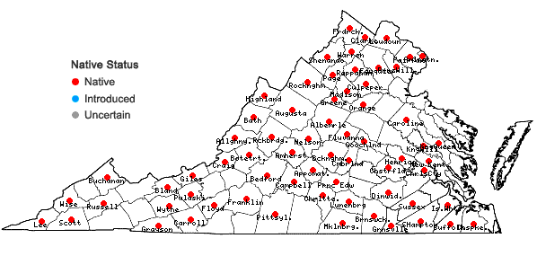 Locations ofPanicum philadelphicum Bernh. ex Trin. ssp. philadelphicum in Virginia