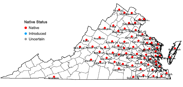 Locations ofPanicum virgatum L. in Virginia