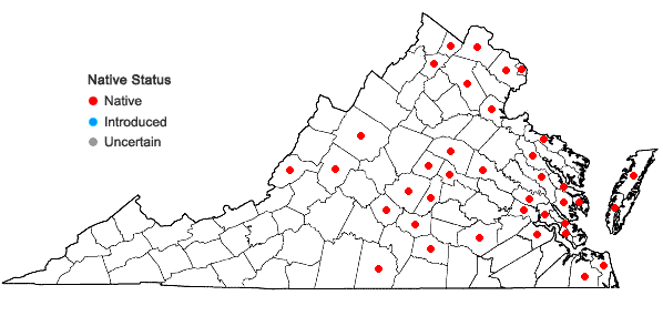 Locations ofPanicum virgatum L. var. virgatum in Virginia