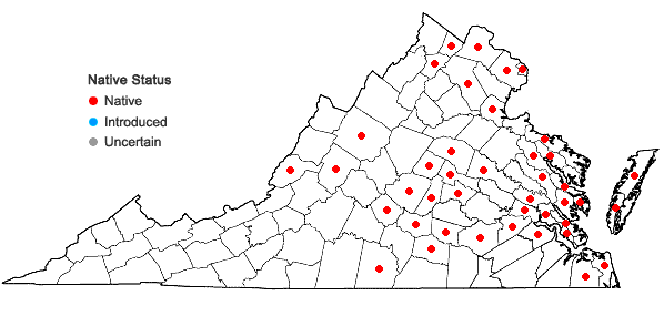 Locations ofPanicum virgatum L. var. virgatum in Virginia