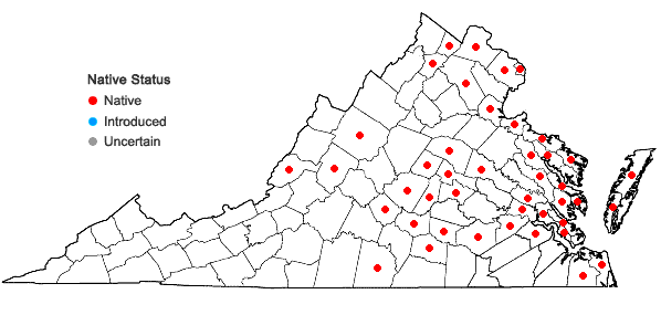 Locations ofPanicum virgatum L. var. virgatum in Virginia