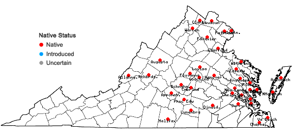 Locations ofPanicum virgatum L. var. virgatum in Virginia