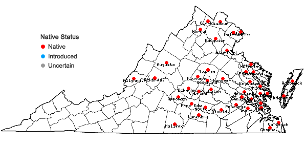 Locations ofPanicum virgatum L. var. virgatum in Virginia