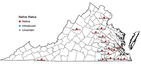 Locations ofPanicum virgatum L. var. cubense Griseb. in Virginia