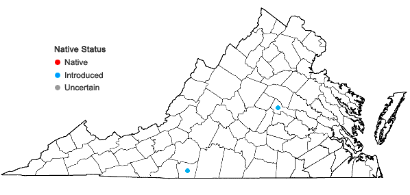 Locations ofPapaver somniferum L. in Virginia