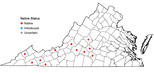 Locations ofParaleucobryum longifolium (Ehrh. ex Hedw.) Loeske in Virginia